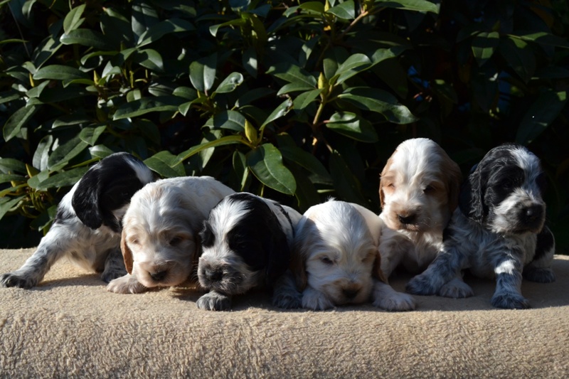 24-Janet, Jantar, Just, Jambo, Jessi, Janie.JPG